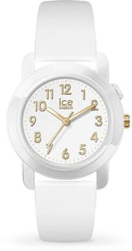 Ice-Find 024916