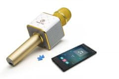 Technaxx bluetooth mikrofon za karaoke s stereo zvočnikom (BT-X31)