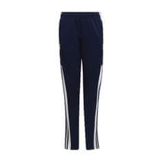 Adidas Hlače obutev za trening črna 111 - 116 cm Squadra 21