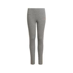 Adidas Hlače obutev za trening siva 111 - 116 cm 3STRIPES
