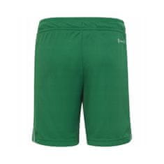 Adidas Hlače zelena 147 - 152 cm/M Tiro 23 League