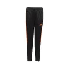 Adidas Hlače črna 159 - 164 cm/L Tiro 23 Club Training