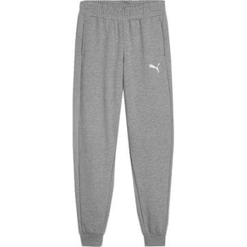 Puma Hlače siva Team Goal