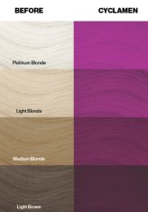 shumee CRAZY COLOR barva za lase v kremi št. 41 - ciklama - 100 ml