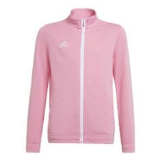 Adidas Športni pulover 147 - 152 cm/M Entrada 22