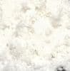TTCarp betain 500g