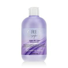 Inebrya GREYlosophy Grey By Day Shampoo 300 ml šampon sivi lasje pobeljeni lasje unisex