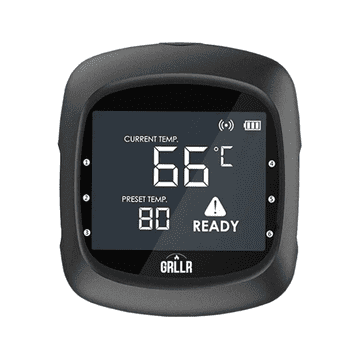 GRLLR Bluetooth termometer z dvema sondama