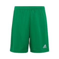 Adidas Hlače obutev za trening zelena 111 - 116 cm Entrada 22 JR