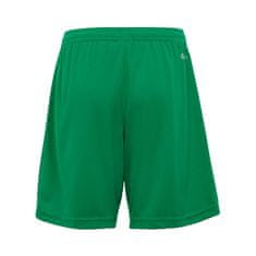 Adidas Hlače obutev za trening zelena 111 - 116 cm Entrada 22 JR