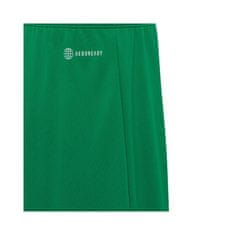 Adidas Hlače obutev za trening zelena 111 - 116 cm Entrada 22 JR