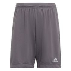 Adidas Hlače siva 147 - 152 cm/M Entrada 22