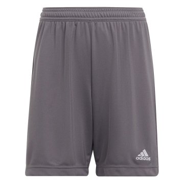 Adidas Hlače siva Entrada 22