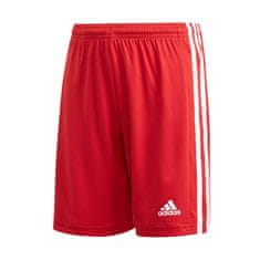 Adidas Hlače obutev za trening rdeča 123 - 128 cm/XS JR Squadra 21