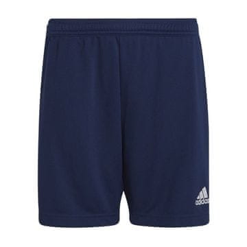Adidas Hlače mornarsko modra Entrada 22