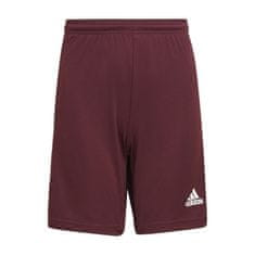 Adidas Hlače bordo rdeča 123 - 128 cm/XS Squadra 21