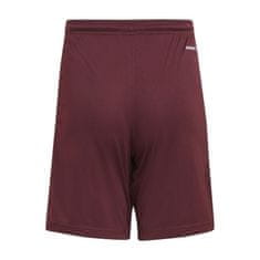 Adidas Hlače bordo rdeča 123 - 128 cm/XS Squadra 21