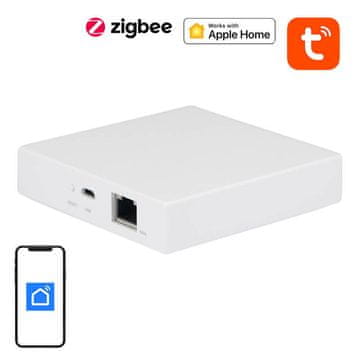 NEO Centralna vrata Matter NEO NAS-ZW06WM, ZigBee TUYA
