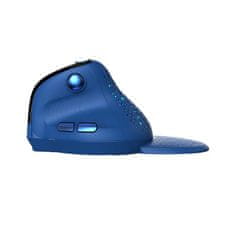 Delux Brezžična navpična miška Delux M618XSD BT+2.4G RGB (modra)