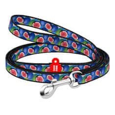 WAUDOG Nylon pas za psa WAUDOG šir. 20 mm, dolž. 122 cm "figa"