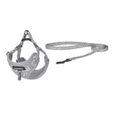 Dogness Dogness sprehajalna garnitura 1,5 m + pas za psa (svetlo siva)