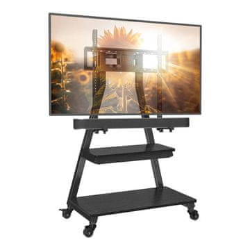 Perlegear PERLEGEAR NOSILEC ZA TV 43-80 PGFS08-US ZA LED LCD PLAZMA TELEVIZORJE