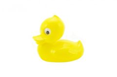 Směr Duck