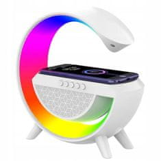 shumee BREZŽIČNI BLUETOOTH ZVOČNIK PRENOSNI POLNILEC RGB OSVETLITEV OZADJA XXL