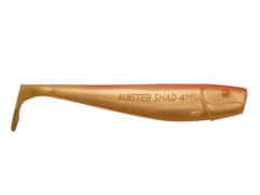 PHOENIX MASTER SHAD 11cm - barva M28