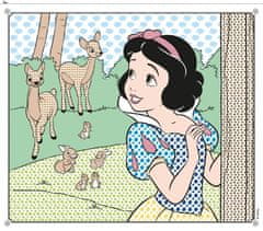 Jiri Models Vodne mega pobarvanke Barvajte z vodo! Disneyjeve princese 33x29cm