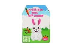 Teddies Zajček Ben