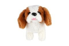 Teddies Pes, ki hodi in laja, plišast/plasten 18 cm na baterije 4 vrste