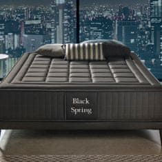 moonia Vzmetnica ?epne vzmeti Black Spring Royal, 30cm, 180x200cm - Moonia