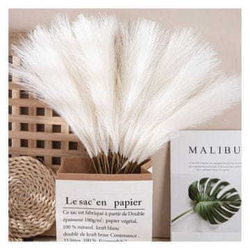 Flamenco Mystique Um artificialno okrasno rastlino pampas travo, kremno, 56,5 cm, 1 kos