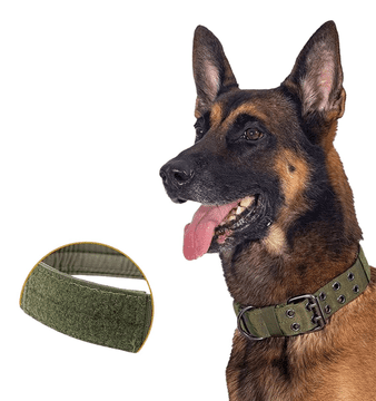 Camerazar Taktični zeleni ovratnik za pse, nastavljivi dvovrstni XL ovratnik za pse