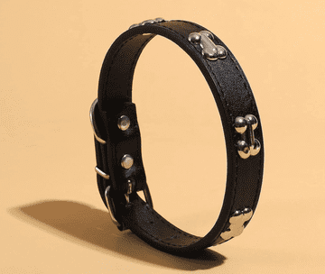 Camerazar Kožna ovratnica za pse, prikupna, s črnimi zapestniki, nastavljiva