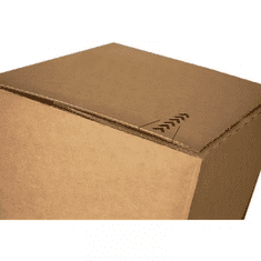 Bipak Kartonska škatla SPEEDBOX 200x110x90 mm