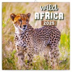 Notique Mrežni koledar Divja Afrika 2025