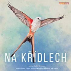 Na krilih