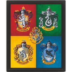 Epee Barvna 3D slika Harryja Potterja