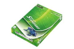 Europapier STANDARDNI PAPIR A4, 80 g/m2, 1x500 listov
