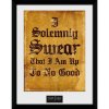 Harry Potter Uokvirjeni plakat - Slovesno prisegam