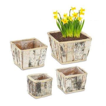 UNBRANDED Kvadratni cvetlični lonček Birch Set 4