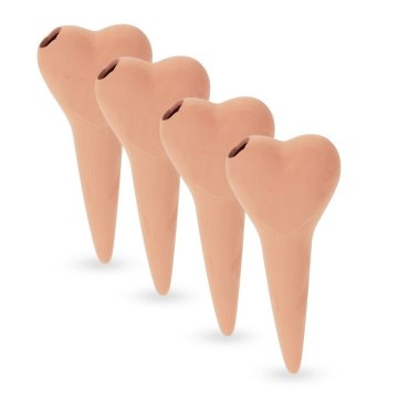 UNBRANDED Srce iz glinenega stožca - 4 kos