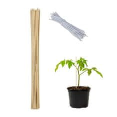 UNBRANDED Palice za rože 60 cm v kompletu po 50 kom 