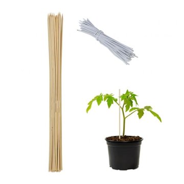 UNBRANDED Palice za rože 60 cm v kompletu po 50 kom