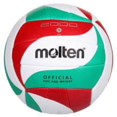 Molten V5M 2000 odbojkarska žoga velikosti 5