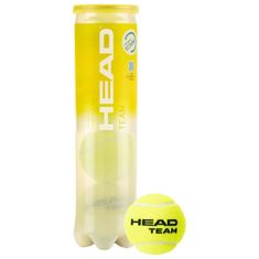 Head TEAM teniške žogice pakiranje 4 kosi