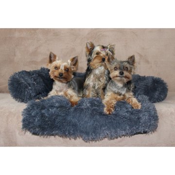 Merco Pasja postelja Petsofa temno siva velikost XS