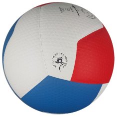 Gala BV5595S Žoga za odbojko Pro-Line velikost 5